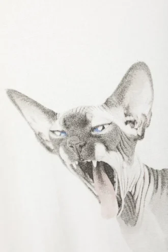 Bred, oversized T-shirt med print – hvid – Sphynx-kat